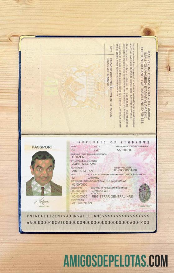 Visual de foto do passaporte do Zimbábue exemplo